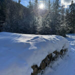 Bild Holzweg, Schnee und Sonne